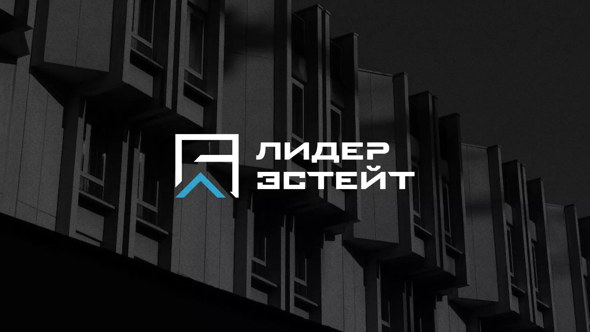 Разработка логотипа агентства недвижимости «Лидер Эстейт» в Раменском